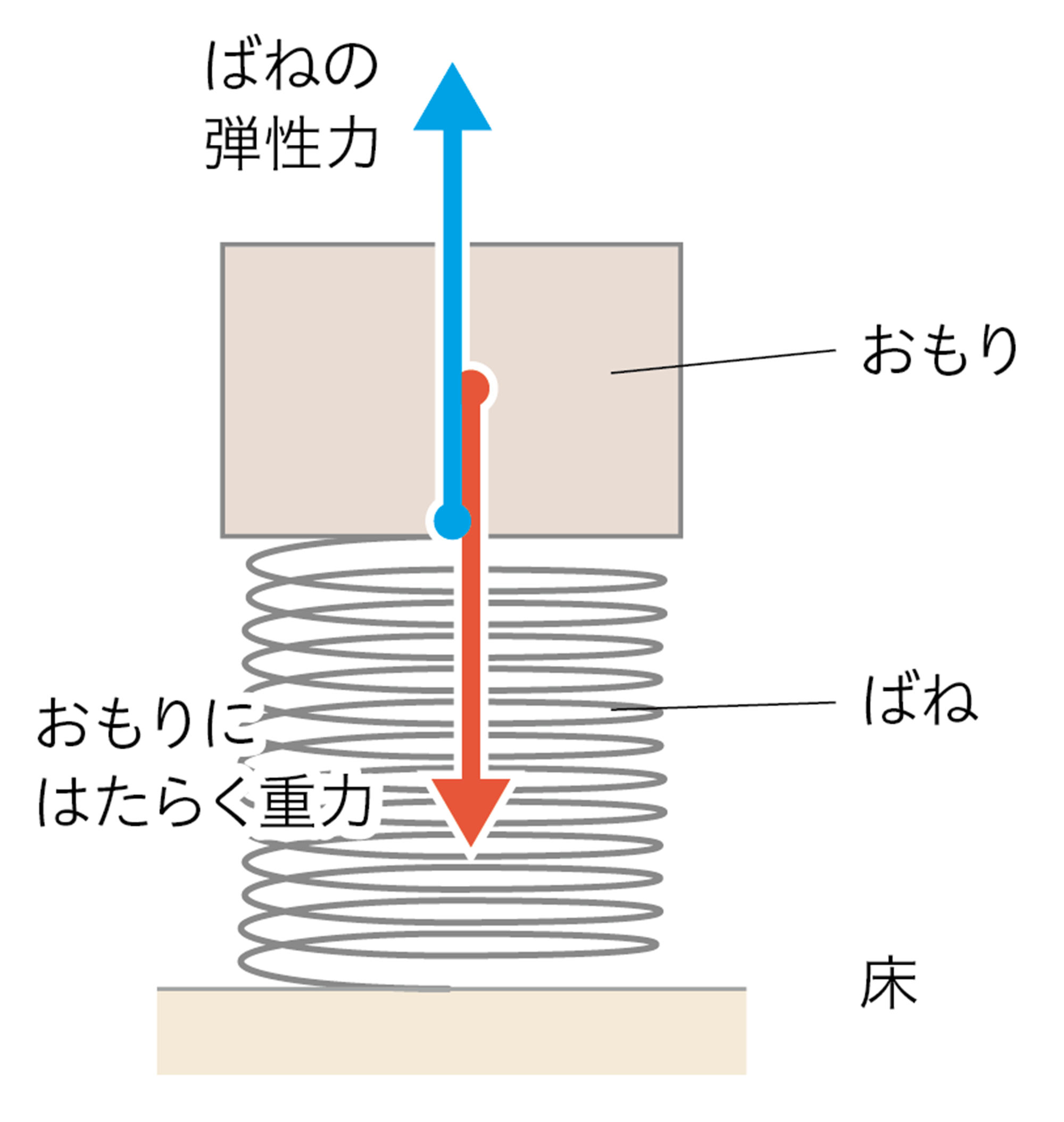 1p142 – 中学校理科教科書Web版、学校図書