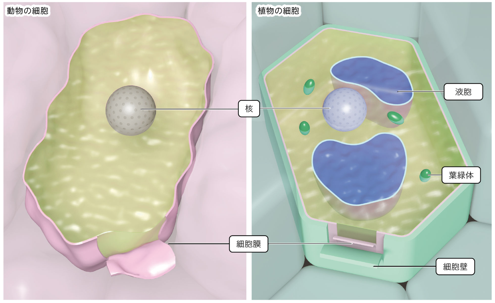 2p072 – 中学校理科教科書Web版、学校図書