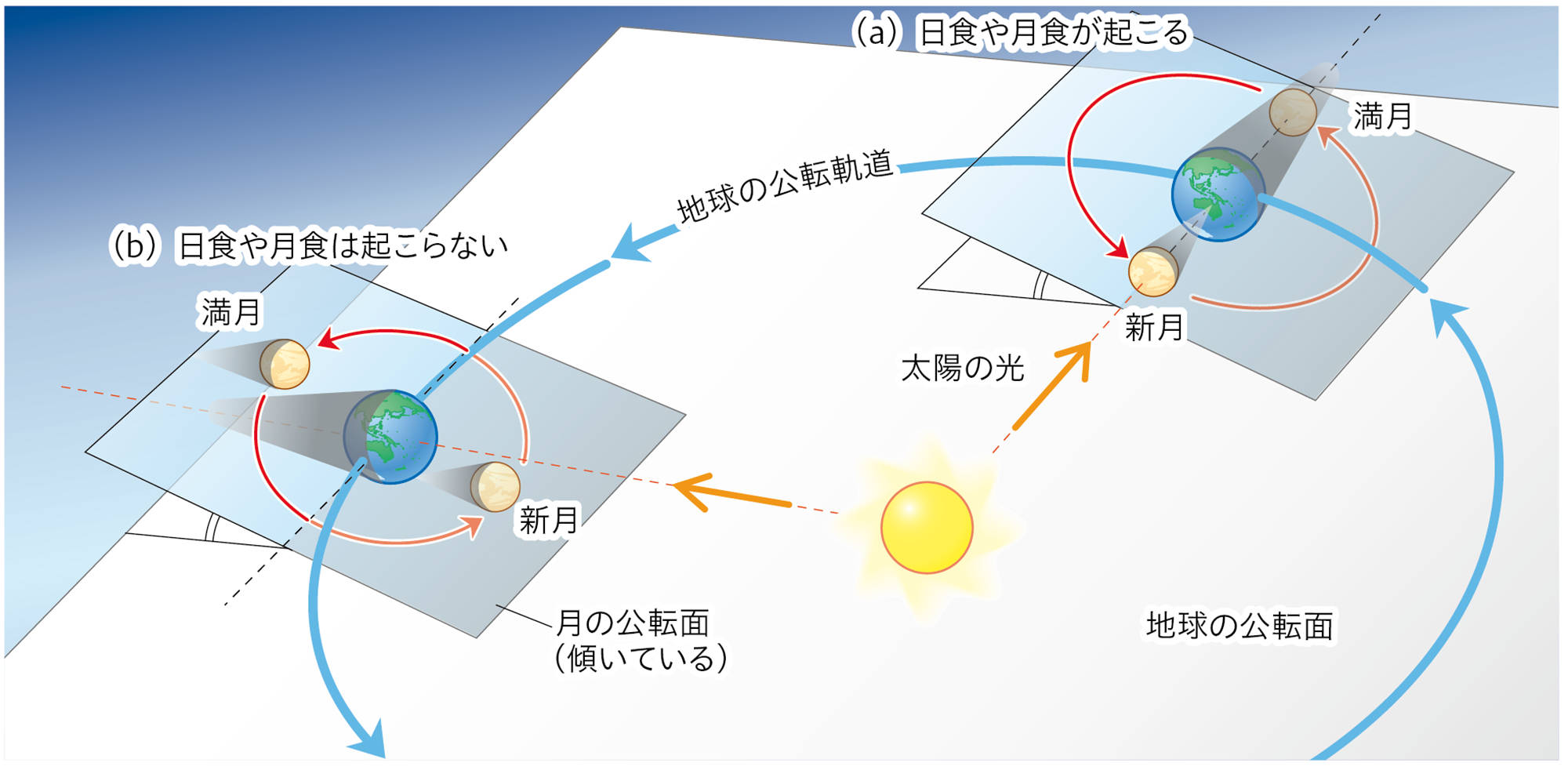 3-4-3-1(3p204-207 – 中学校理科教科書Web版、学校図書
